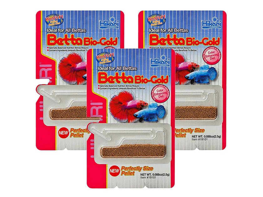 Hikari betta hot sale fish food