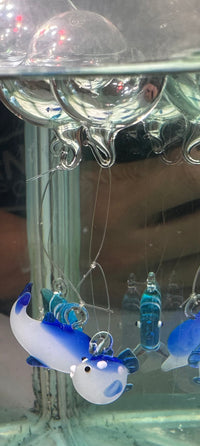 Load image into Gallery viewer, Floating Glass Ornaments
