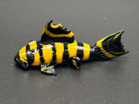 Load image into Gallery viewer, Pleco Glass Ornaments
