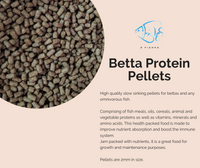 Load image into Gallery viewer, Betta Protein Pellets - Seven Fishes
