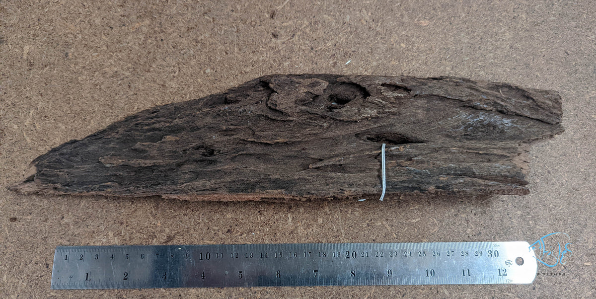 Mekong Driftwood - Individual Piece