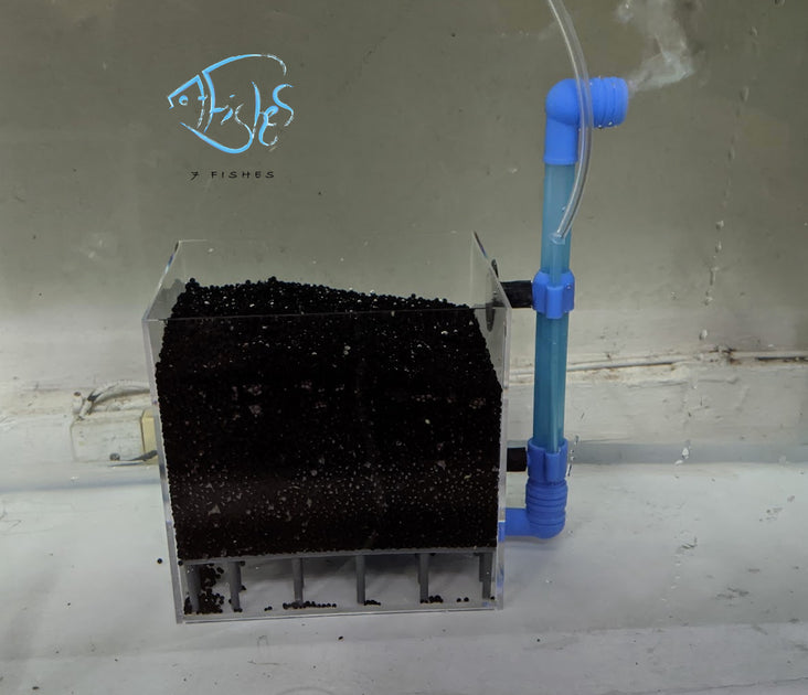 Undergravel Filtration Unit | Seven Fishes