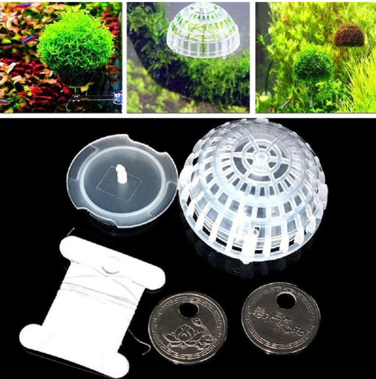 Moss Ball Plastic Holder - Seven Fishes